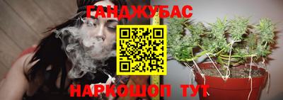 Альфа ПВП Усть-Джегута
