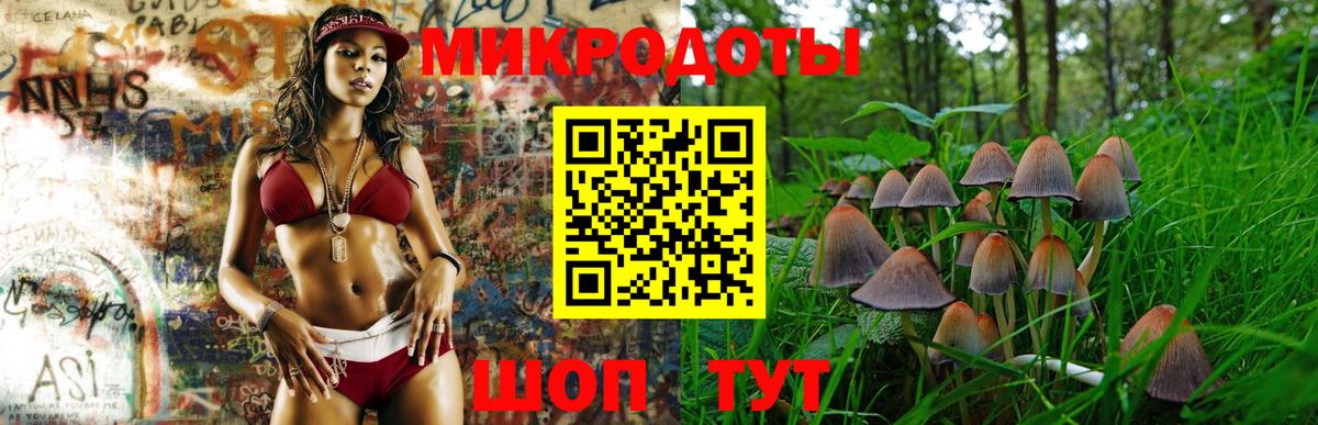 Галлюциногенные грибы Cubensis Городец