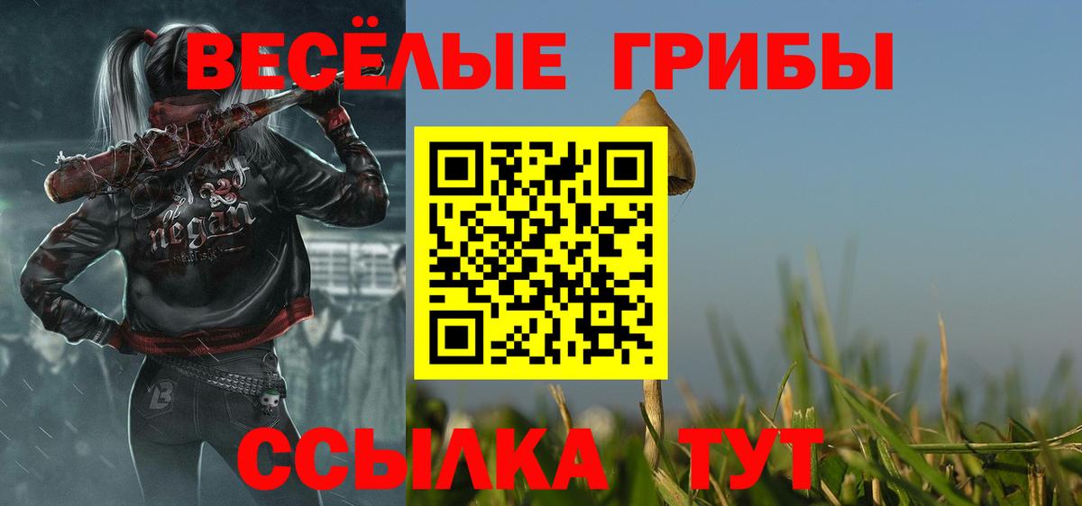 Псилоцибиновые грибы Magic Shrooms  как найти закладки  Вход с VPN  Городец  Галлюциногенные грибы прущие грибы 