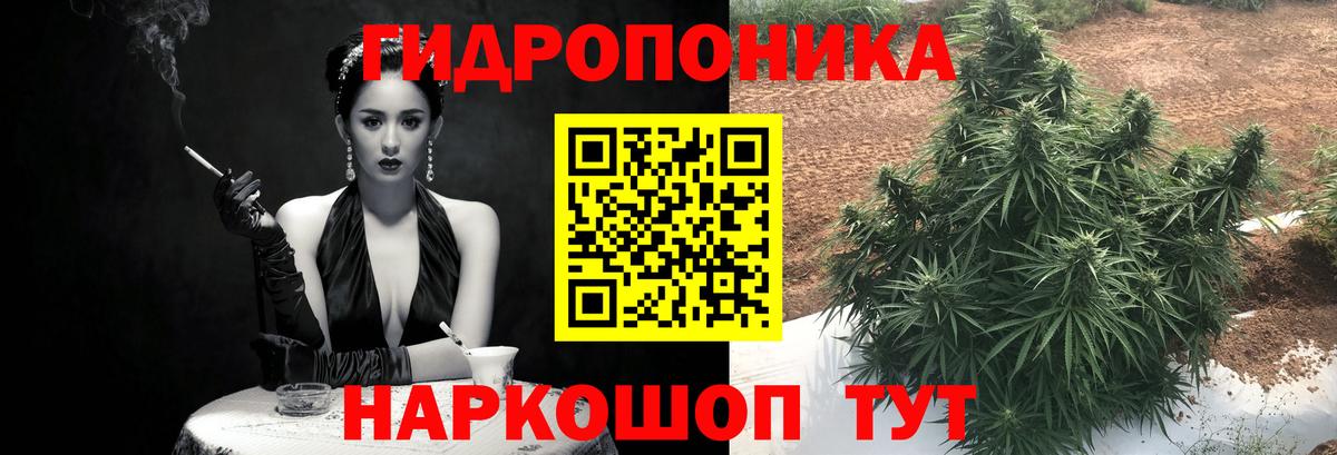 Канабис семена  Марихуана AK-47  Шишки марихуана конопля  Вход с VPN  Городец 